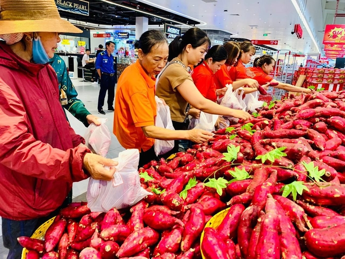 Chương trình 'Đồng hành cùng nông dân Gia Lai' bắt đầu từ ngày 11/04 và kết thúc thị trường có dấu hiệu bình ổn.