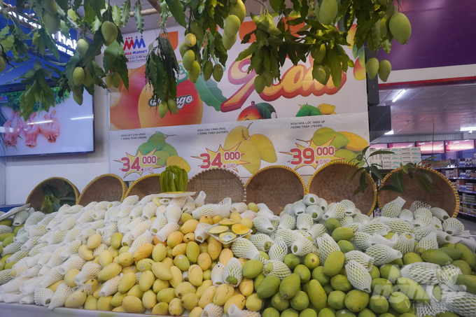 Xoài Đồng Tháp với nhiều giống xoài khác nhau được bày bán tại 'Lễ hội xoài' của MM Mega Market Việt Nam. Ảnh: Nguyễn Thủy.