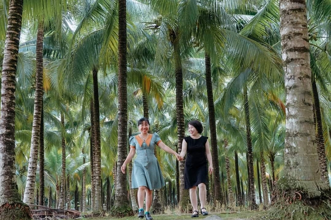 Tỉnh Bến Tre đang có diện tích vườn dừa khoảng 79.000ha. Ảnh: Minh Đảm.