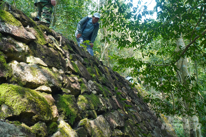 Hệ thống đường mòn trong rừng Nam Xuân Lạc do người Pháp xây dựng cách đây hơn 1 thế kỷ được kè chắc chắn, đến nay vẫn còn khá nguyên vẹn. Ảnh: Ngọc Tú.  