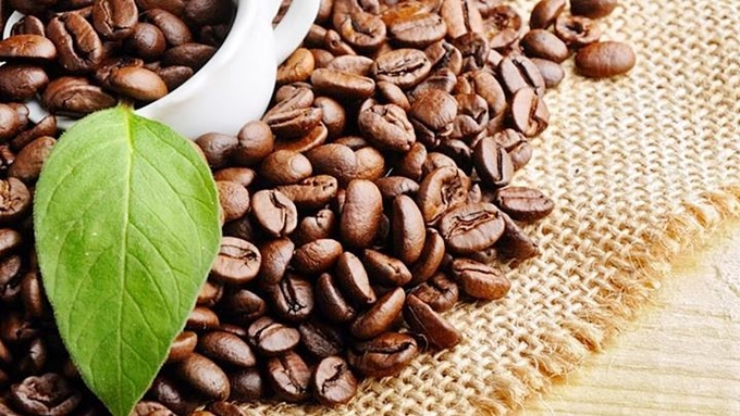 Cập nhật giá cà phê trong nước và thế giới mới nhất ngày 11/4/2024