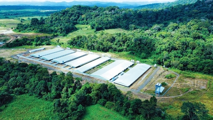 A Mavin livestock complex in the Central Highlands region applies a circular economy model.