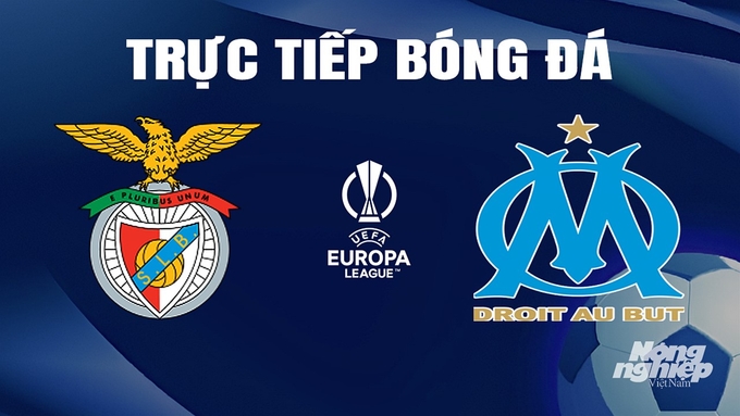 Trực tiếp bóng đá Cúp C2 Châu Âu giữa Benfica vs Marseille ngày 12/4/2024