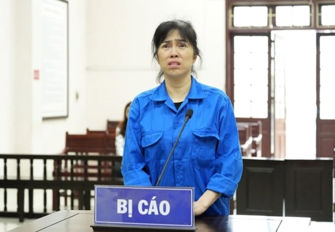 Bị cáo Nguyễn Thị Ánh Hồng tại phiên tòa xét xử.