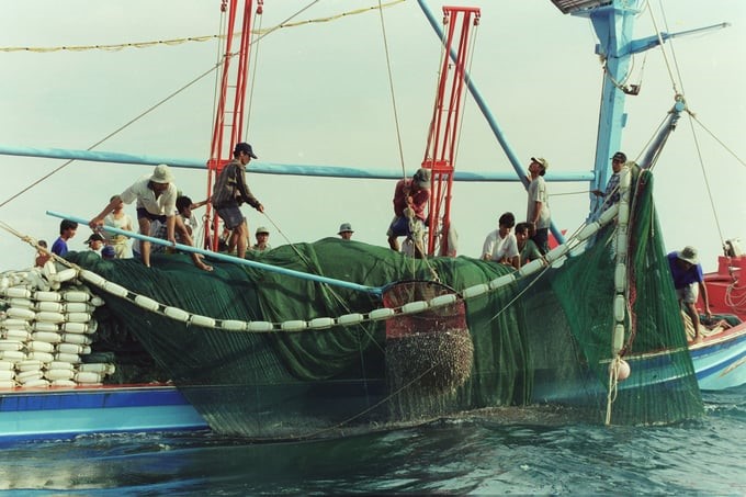 The Secretariat requested to identify the fight against IUU fishing as an important, urgent task with long-term significance for the sustainable development of the fisheries industry. Photo: Hong Tham.