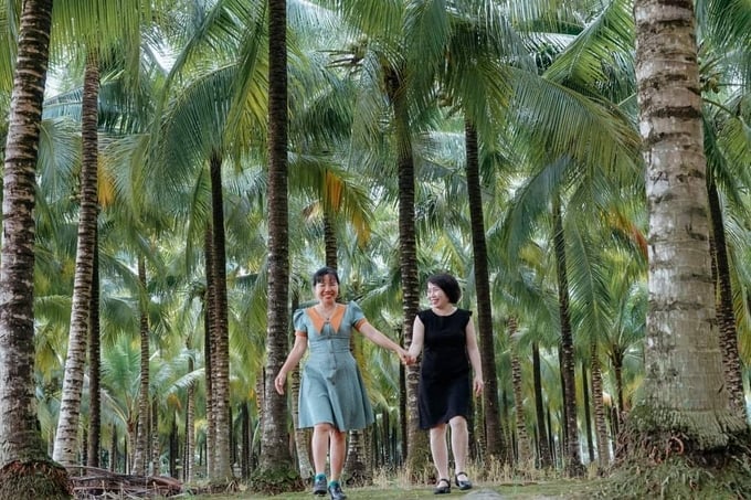 Ben Tre province currently houses approximately 79,000 hectares of coconut production areas. Photo: Minh Dam.