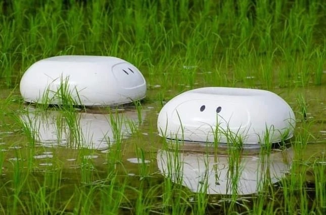 Robots combat weeds, control golden apple snails, and mitigate methane emissions without compromising rice productivity.