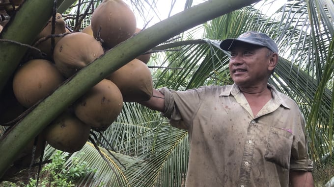 Ben Tre province's Department of Agriculture and Rural Development requires time to conduct further research into the province's carbon credit potentials, and calculate profit-sharing models for local residents. Photo: Minh Dam.