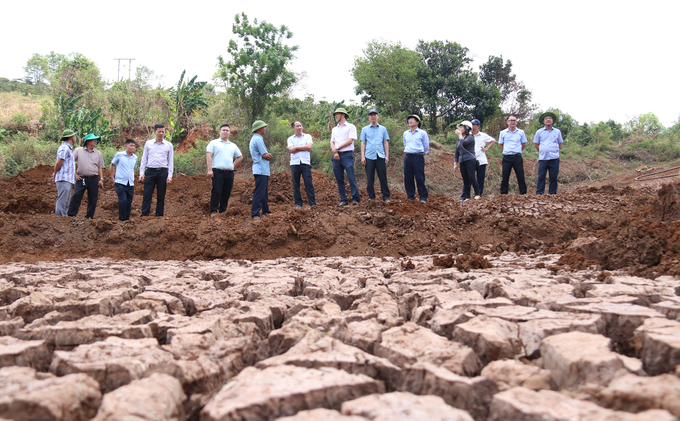 Đoàn công tác của Cục Thủy lợi kiểm tra hồ chứa cạn nước tại huyện Krông Búk (Đắk Lắk). Ảnh: Quang Yên.