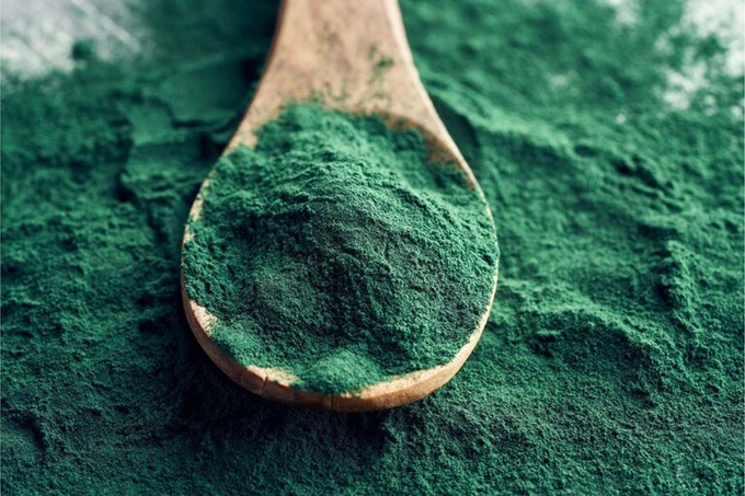 The scientists said Spirulina and Chlorella exhibit protein levels of up to 50-70%, outperforming traditional sources like soybean meal. Photo: Canva.