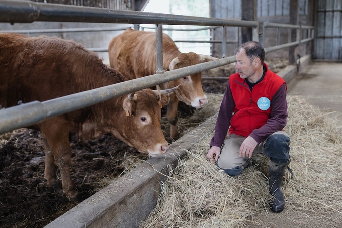Fabien Tigeot, who heads a regional federation of organic farmers in Brittany, keeps 50 cows on his farm in La Ville Aly, France. Photo: Laurence Geai/MYOP for The Washington Post