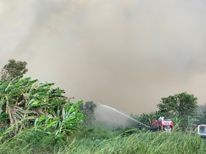 Vụ cháy rừng tại Nông trường 402 ước tính thiệt hại khoảng 40ha rừng. Ảnh: Trọng Linh.