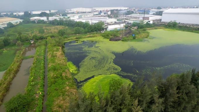 Hình ảnh nước thải từ khu công nghiệp tràn ra các kênh mương, chảy vào hệ thống Bắc Hưng Hải. Ảnh: Hùng Khang.