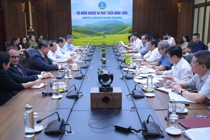 The Ministry of Agriculture and Rural Development worked with the Tien Giang Provincial People's Committee on the afternoon of April 12 about the upcoming fruit festival. Photo: Tung Dinh.