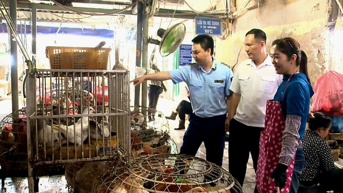 Local authorities promoting avian influenza awareness for traders at Mong Cai III Market, Mong Cai city. Photo: Cuong Vu.