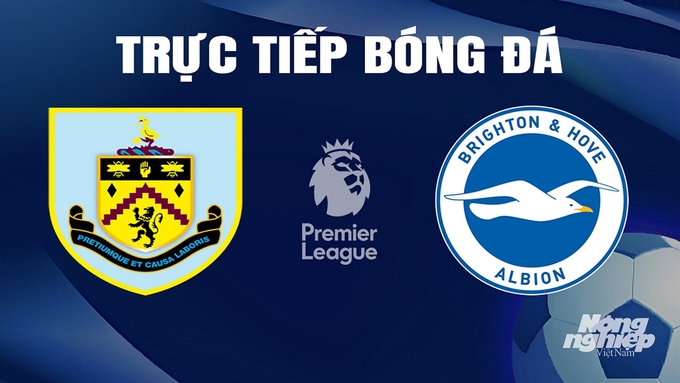 Trực tiếp bóng đá Ngoại hạng Anh giữa Burnley vs Brighton hôm nay 13/4/2024