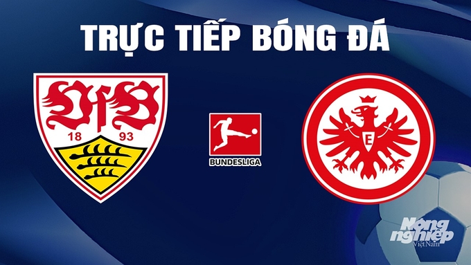 Trực tiếp bóng đá Bundesliga 2023/24 giữa Stuttgart vs Eintracht Frankfurt hôm nay 13/4/2024