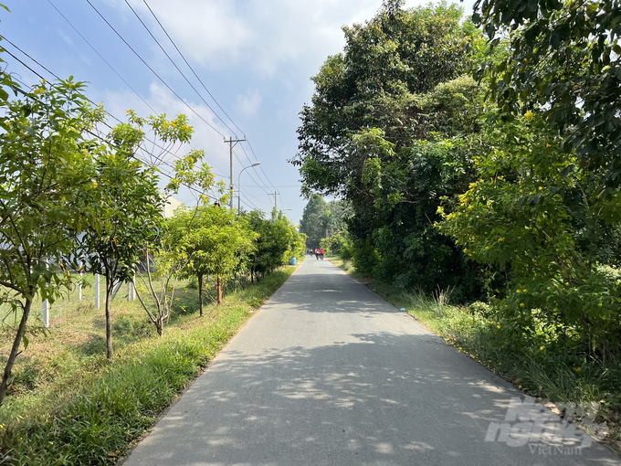 Thời gian qua, nhiều con đường tại các xã trên địa bàn huyện Củ Chi đã được chính quyền, người dân chỉnh trang sạch, đẹp với nhiều hàng cây xanh hai bên đường. Ảnh: Nguyễn Thủy.