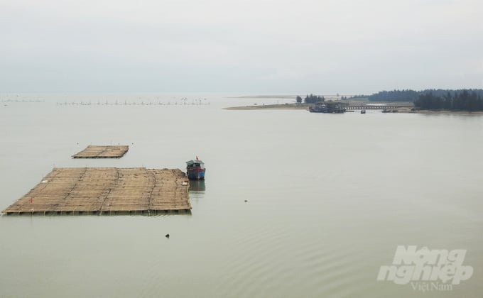 Bè nuôi hàu đặt gần giữa dòng chảy sông Lam tiềm ẩn nguy cơ gây mất an toàn đường thủy. Ảnh: Thanh Nga. 