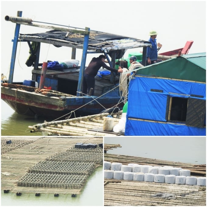 Các cơ quan chức năng liên quan chưa nhận được bất kỳ ý kiến tham vấn nào của huyện Nghi Xuân về việc đảm bảo an toàn trên sông Lam từ hoạt động nuôi hàu. Ảnh: Thanh Nga.