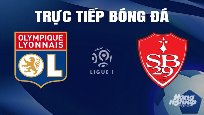Trực tiếp bóng đá Ligue 1 (VĐQG Pháp) 2023/24 giữa Lyon vs Brest ngày 15/4/2024