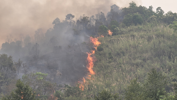 Cháy rừng tại địa bàn giáp ranh xã Trung Chải và Nậm Ban của huyện Nậm Nhùn (Lai Châu). Ảnh: H.D.