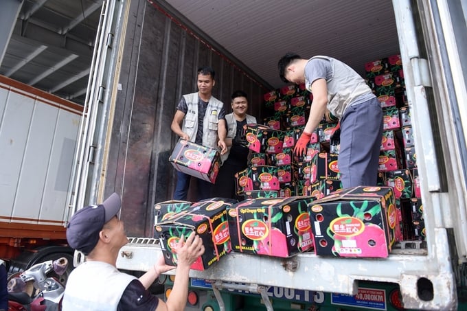 Export of dragon fruit through Tan Thanh border gate (Lang Son). Photo: Vo Viet.