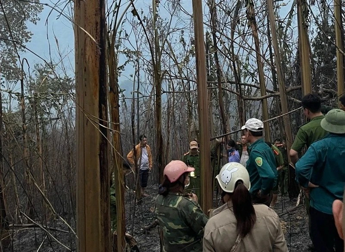 Hiện trường vụ cháy rừng tại thị trấn Mường Chà, huyện Mường Chà, tỉnh Điện Biên. Ảnh: Chi cục Kiểm lâm tỉnh Điện Biên.