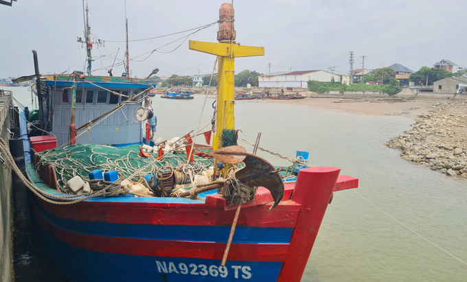 Trong cảng Cửa Hội chỉ có duy nhất tàu cá của ông Nguyễn Sỹ Thiết neo đậu. Ảnh: Việt Khánh.