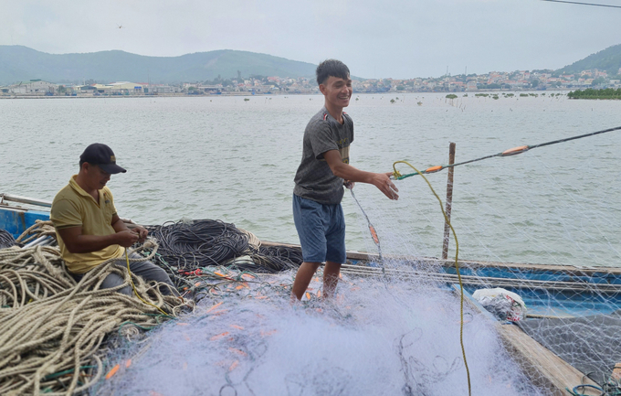 Đây là giai đoạn khó khăn của ngành thủy sản Nghệ An. Ảnh: Việt Khánh.
