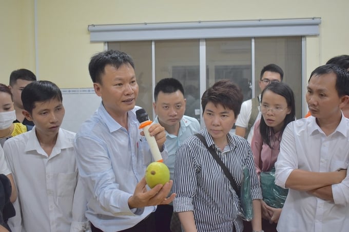 Dr. Nguyen Van Phong presenting about mangoes after three weeks of preservation with standard operating procedures (SOP).
