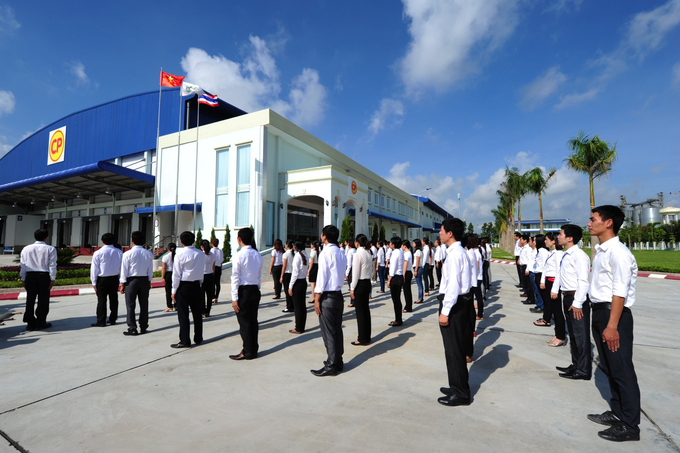 Hoạt động chào cờ và hát Quốc ca vào thứ Hai hằng tuần tại một cơ sở của C.P. Việt Nam.