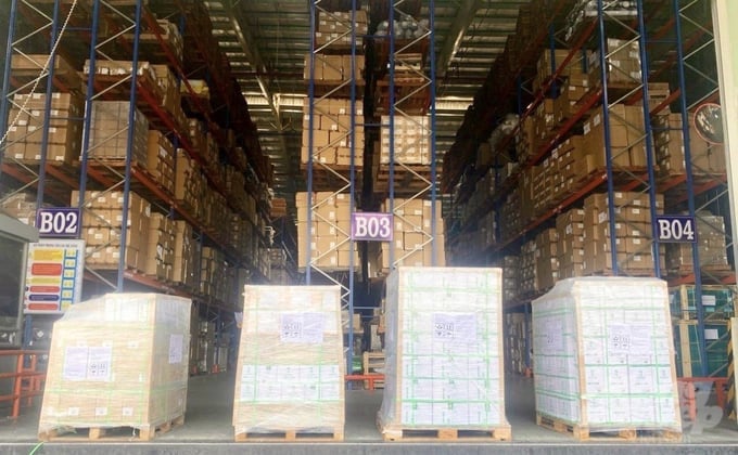 Sokfarm Company shipment has just been exported to the Australian market. Photo: Sokfarm