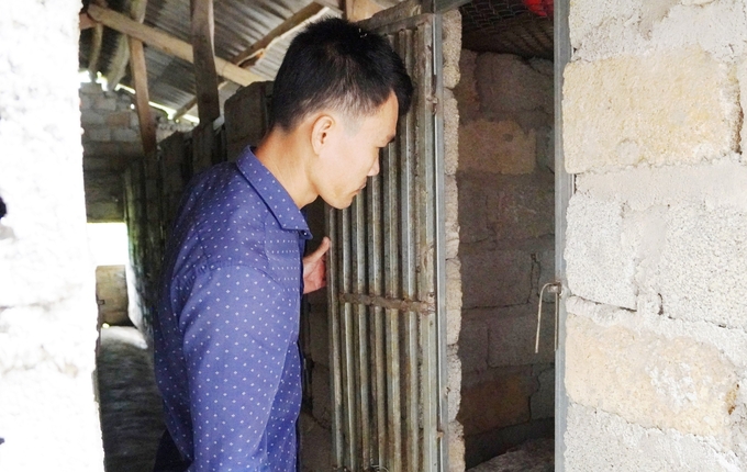 Anh Nguyễn Minh Đức kiểm tra chuồng nuôi chồn hương sinh sản của gia đình. Ảnh: T. Phùng.