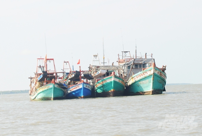 Kien Giang will reduce and convert hundreds of fishing vessels to non-exploitation sectors, in order to balance the strength of exploitation and the resilience of aquatic resources. Photo: Trung Chanh.