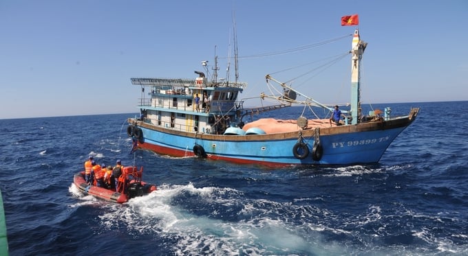 Phu Yen province has been strengthening solutions to handle fishing vessels violating IUU. Photo: KS.