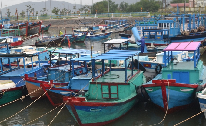 Currently, coastal localities in Phu Yen still have many '3-no' fishing boats. Photo: KS.