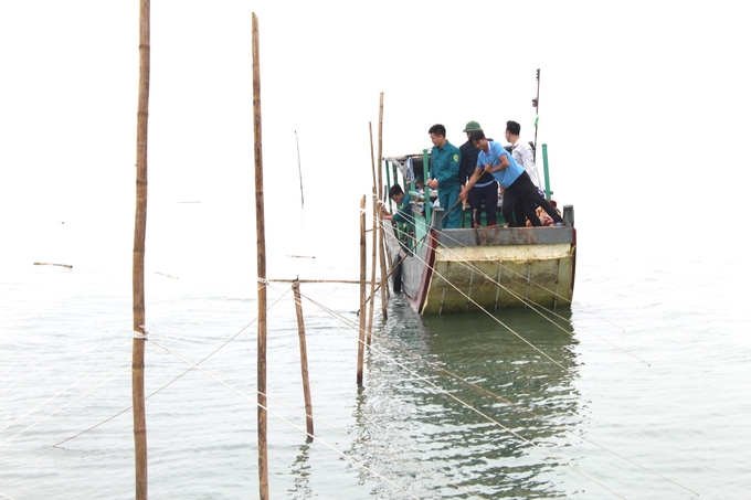 Ông Đỗ Văn Tuấn, Phó Chủ tịch Thường trực UBND thành phố Móng Cái trực tiếp kiểm tra và chỉ đạo xử lý tháo dỡ toàn bộ cọc cắm và lưới vây lấn chiếm bãi triều, mặt nước biển nuôi trồng thủy sản trên địa bàn xã Hải Đông. Ảnh: Cường Vũ