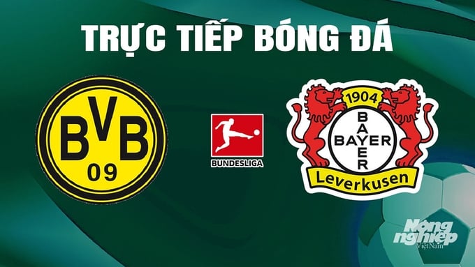 Trực tiếp bóng đá Bundesliga 2023/24 giữa Dortmund vs Bayer Leverkusen hôm nay 21/4/2024