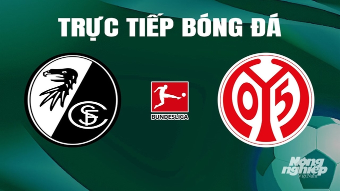 Trực tiếp bóng đá Bundesliga 2023/24 giữa Freiburg vs Mainz 05 ngày 22/4/2024
