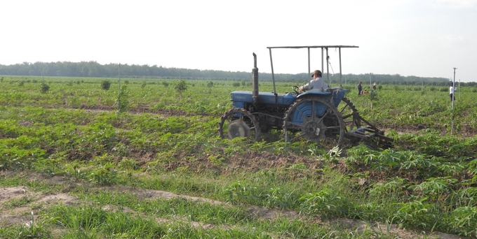 Nông dân Tây Ninh chủ động ứng dụng cơ giới hoá vào khâu làm đất, lên luống, kết hợp bón phân hữu cơ giúp đất tơi xốp, tiết kiệm nước tưới. Ảnh: Trần Trung.