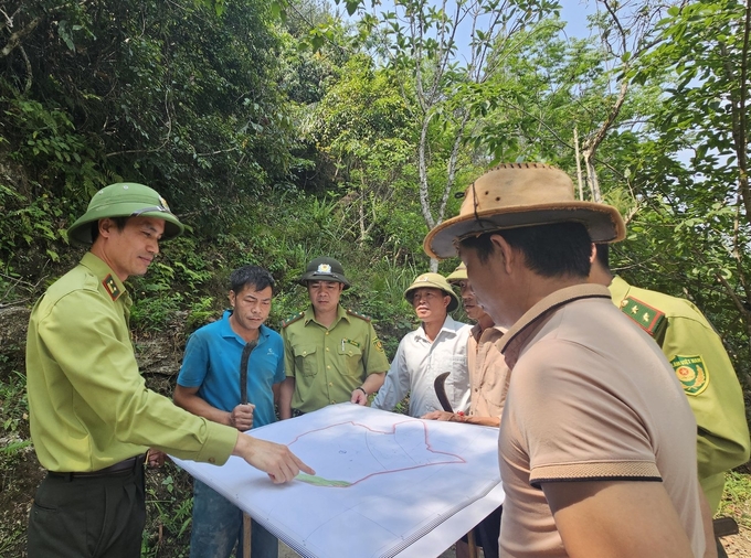 Hạt Kiểm lâm thành phố Lai Châu triển khai công tác bảo vệ, kiểm tra rừng định kỳ. Ảnh: Hải Đăng.