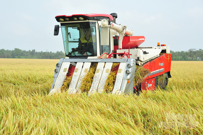 Dự án TRVC sẽ là điều kiện thuận lợi để An Giang triển khai Đề án 1 triệu ha lúa chất lượng cao. Ảnh: Lê Hoàng Vũ.