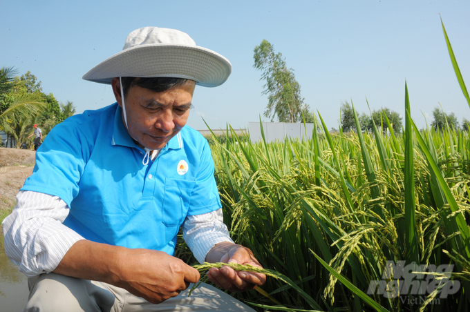 An Giang kêu gọi các doanh nghiệp cùng tham gia Dự án TRVC. Ảnh: Lê Hoàng Vũ. 