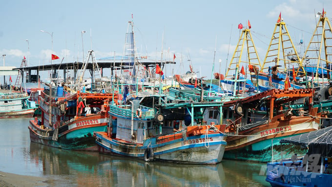 Ba Ria - Vung Tau has not received reports of fishing vessels engaging in illegal exploitation activities in international waters since August 2022. Photo: Le Binh.