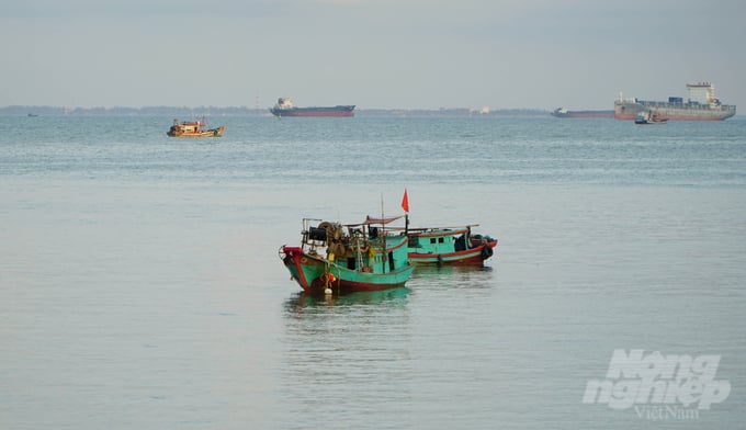 Ba Ria - Vung Tau has essentially regulated and issued temporary numbers for '3 no' fishing vessels within its jurisdiction. Photo: Le Binh.
