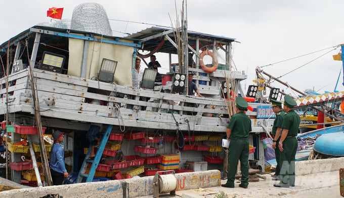 The local authorities are strengthening the inspection of fishing vessels traveling through local ports. Photo: Le Binh.