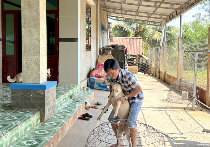 Ông Phạm Văn Phương, ấp 1, xã Mỹ Quý Tây, huyện Đức Huệ, mang chó ra tiêm phòng dại. Ảnh: Sơn Trang.