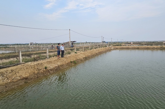 Những hố bom chi chít ngày nào nay đã trở thành vùng nuôi trồng thủy sản, mang lại thu nhập cao cho người dân xã Bắc Trạch. Ảnh: T. Đức.