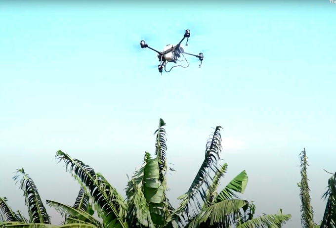 Drone phun thuốc bảo vệ thực vật trên vườn chuối ở Đồng Nai. Ảnh: Sơn Trang.